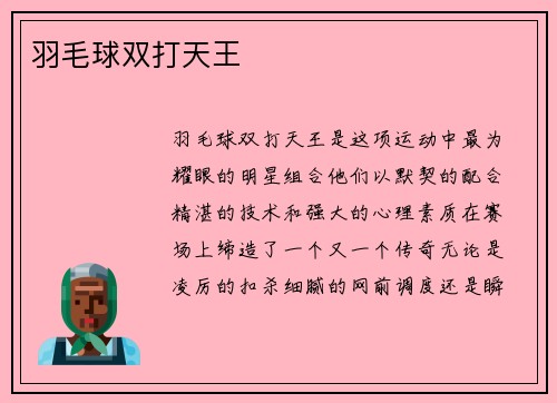 羽毛球双打天王